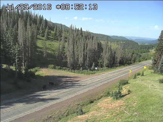 bandicam 2016-07-29 10-58-02-764.jpg