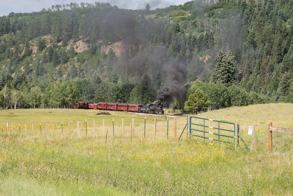 4 489 brings train 216 into Labato meadow.jpg