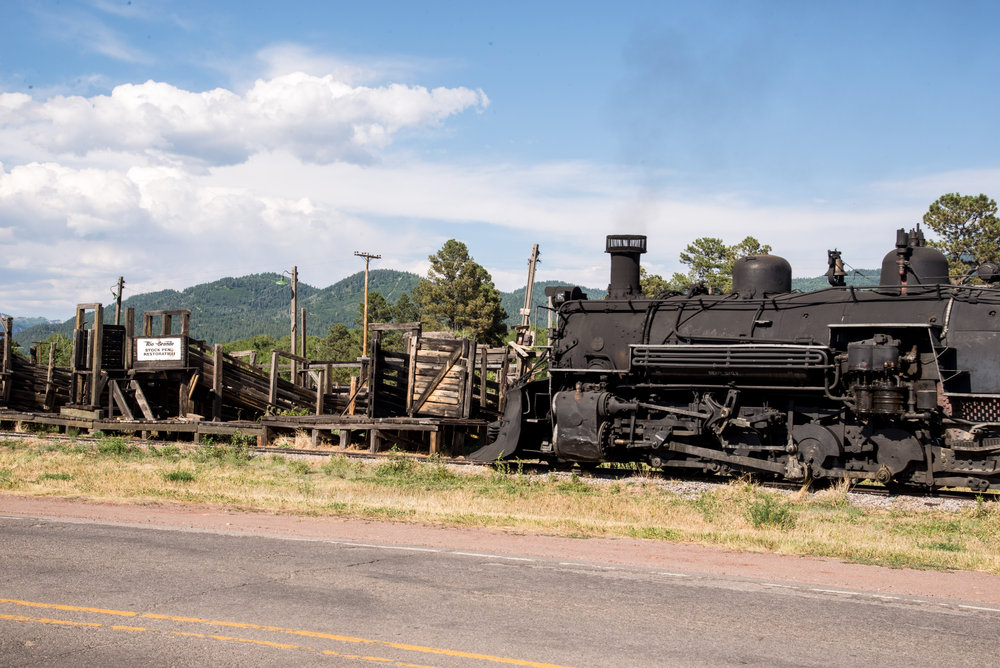 8 487 comes past the cattle loading pens.jpg