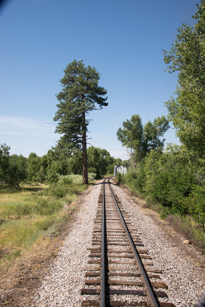 8 Looking back from the train we see Juke's tree and the Rio Chama bridge.jpg