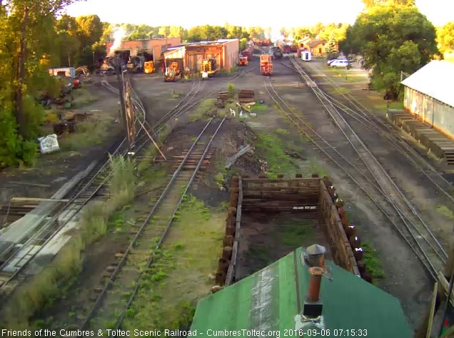 9.6.16 Busy yard_.jpg