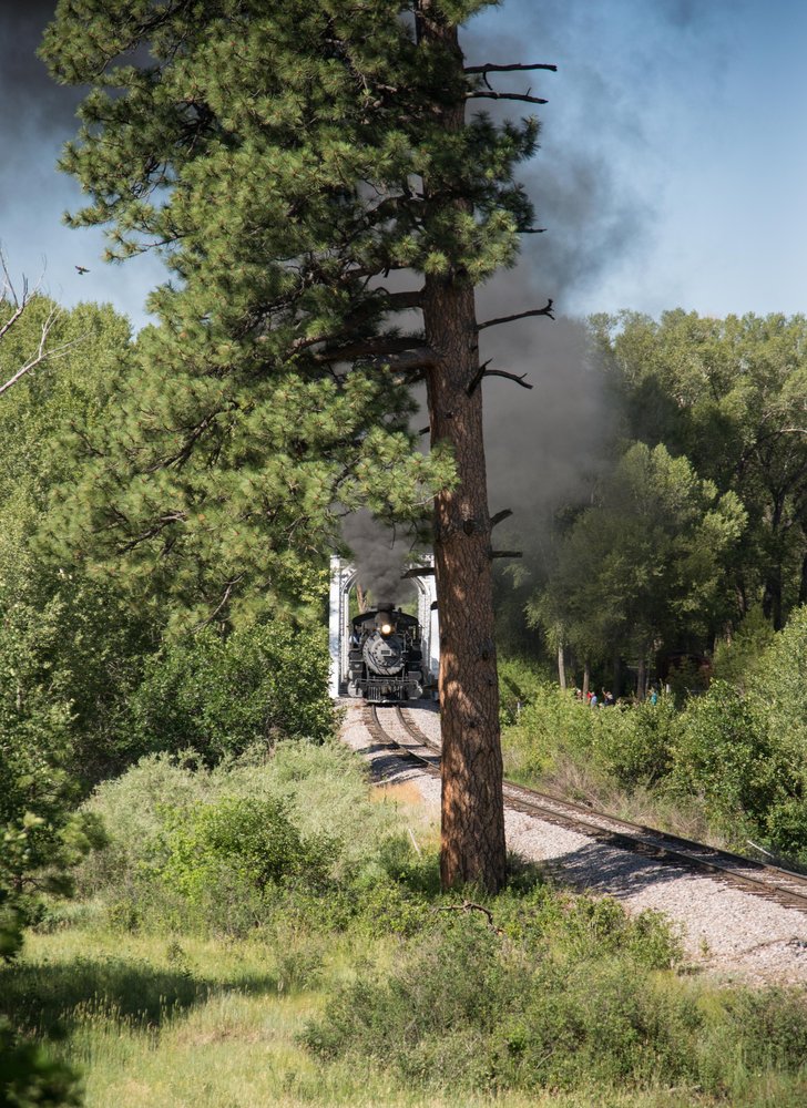 11 K36 488 leads the double headed train 216 over the Chama River bridge as it approched Jute's tree.jpg