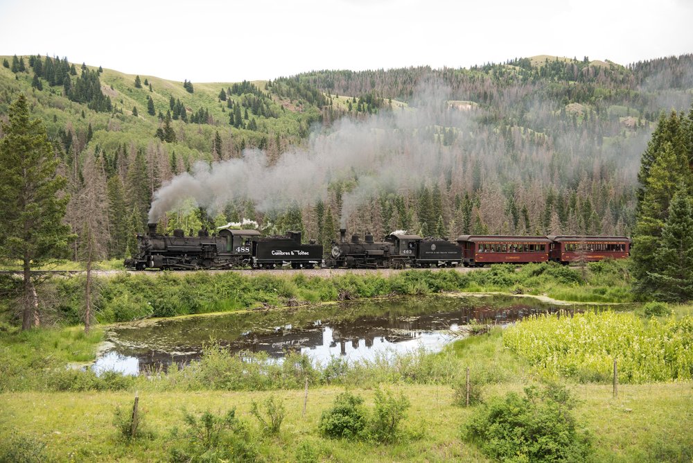 22 The double headed passes the beaver pond with its reflection on the still surface_.jpg