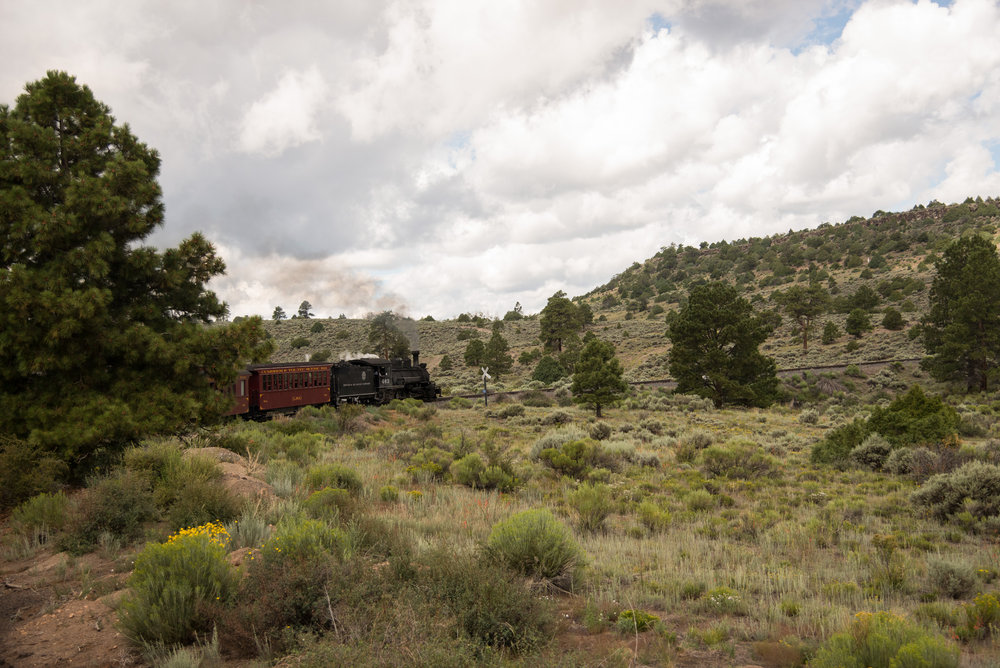 5 Whiplash curve as we enter the transition zone to alpine high country.jpg