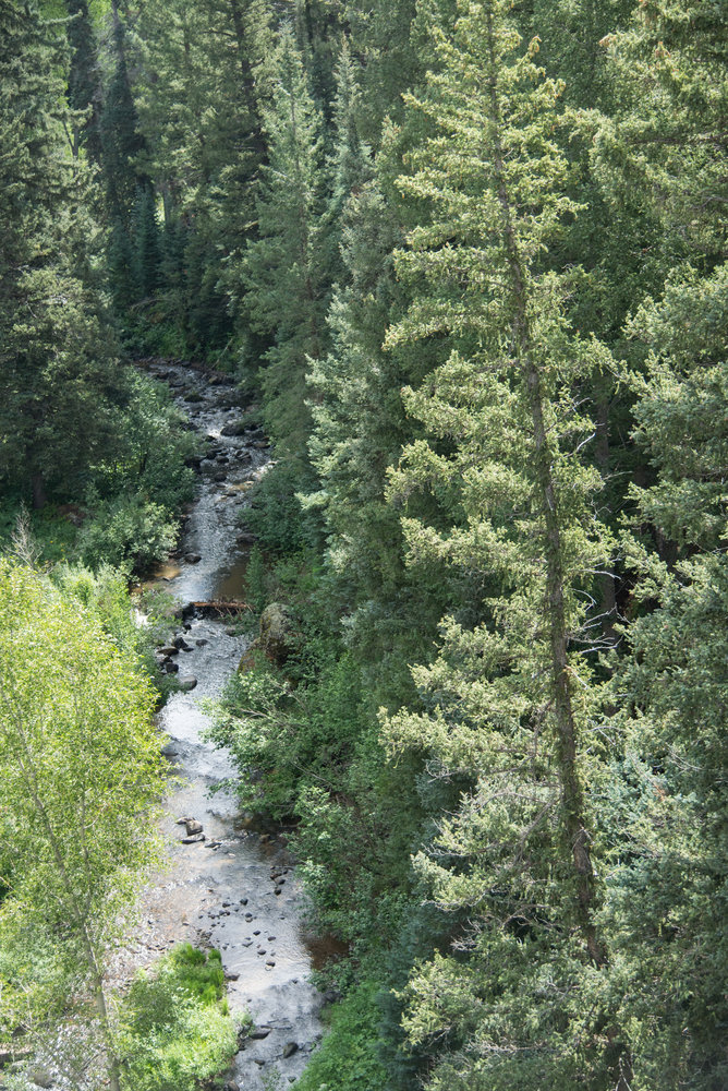 5 Looking down at Wolf Creek from the Lobato trestle.jpg