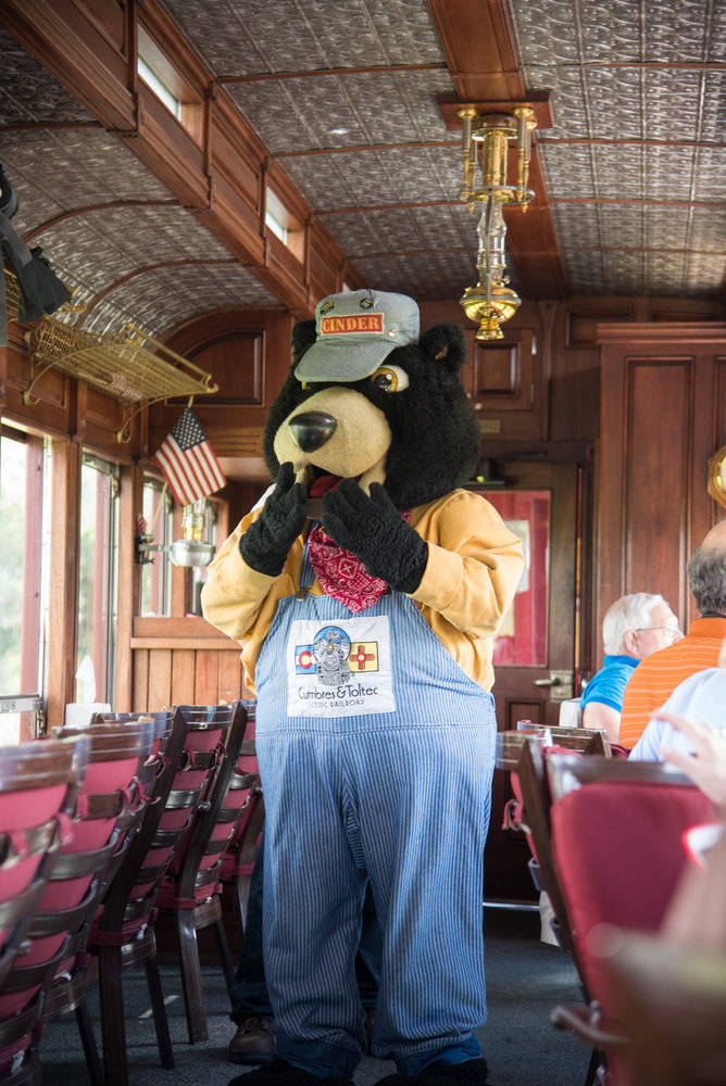 11 Cinder Bear comes into the parlor car to say hi.jpg