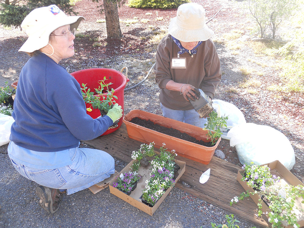 gardeners.jpg