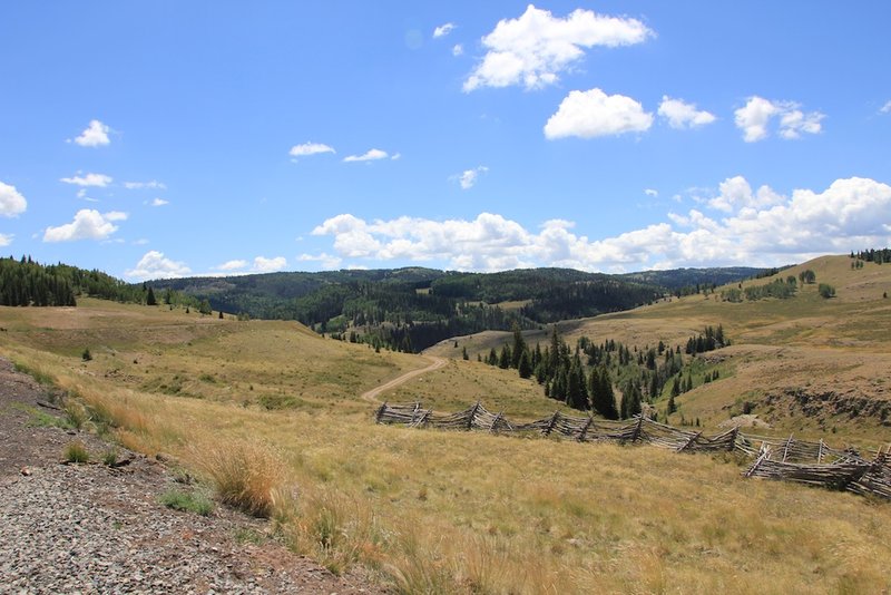 osier valley.jpg