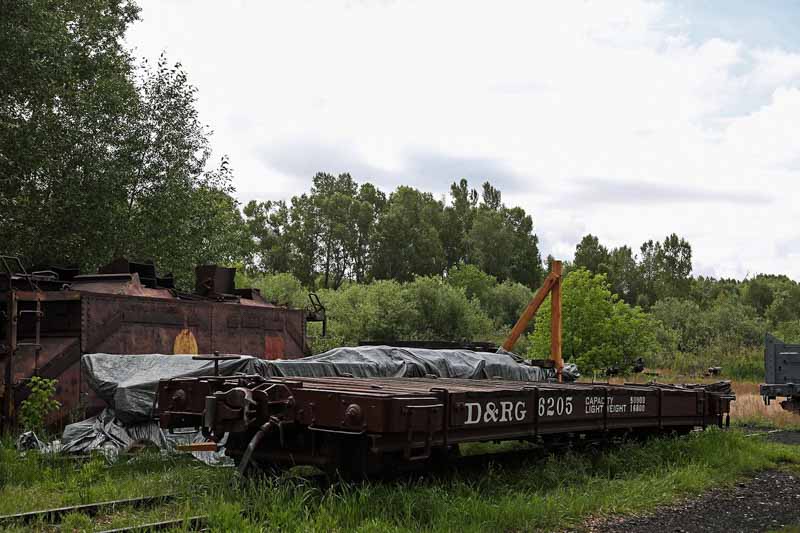 2019.08.11 Down in the swamp, that is the 1000 under the silver tarp (1 of 1).jpg