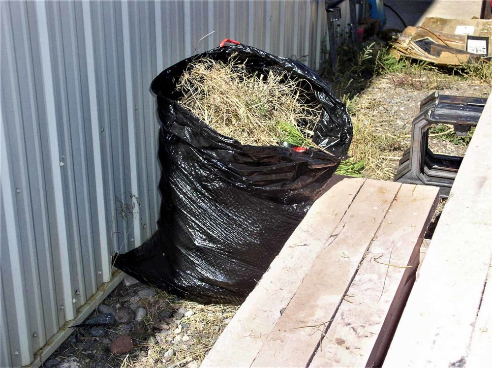 2019.09.25 g That busy landscaping crew has done a bag full (1 of 1).jpg