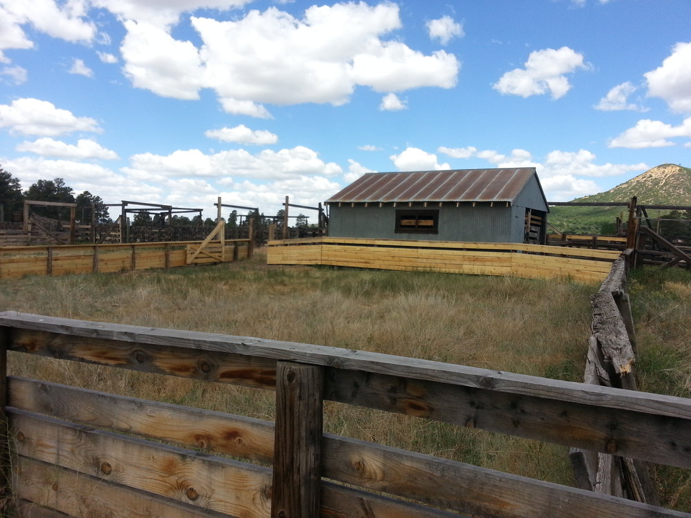 20140627_105838.jpg