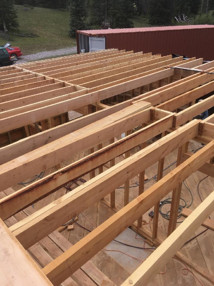 Looking down through the framing joists.jpg