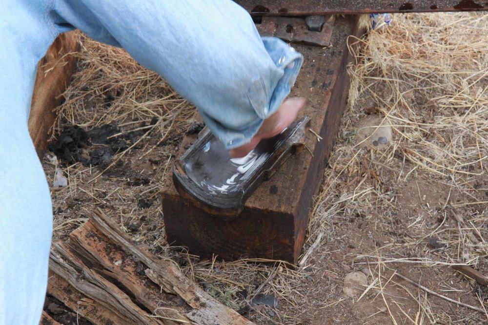 Smearing grease into the bearing (1 of 1).jpg