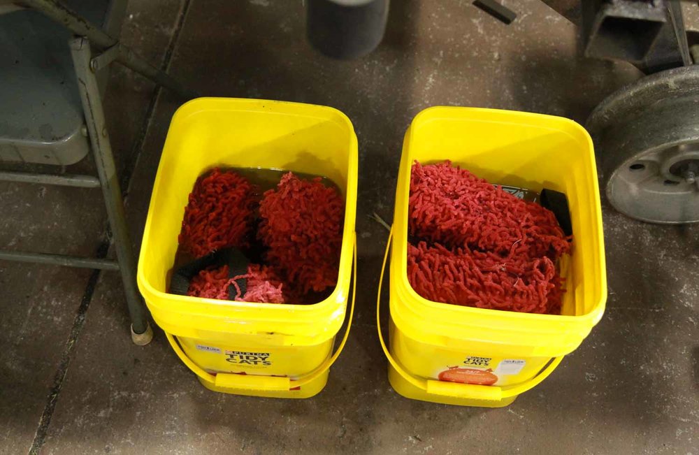 Here we have those mop like things soaking in water (1 of 1).jpg