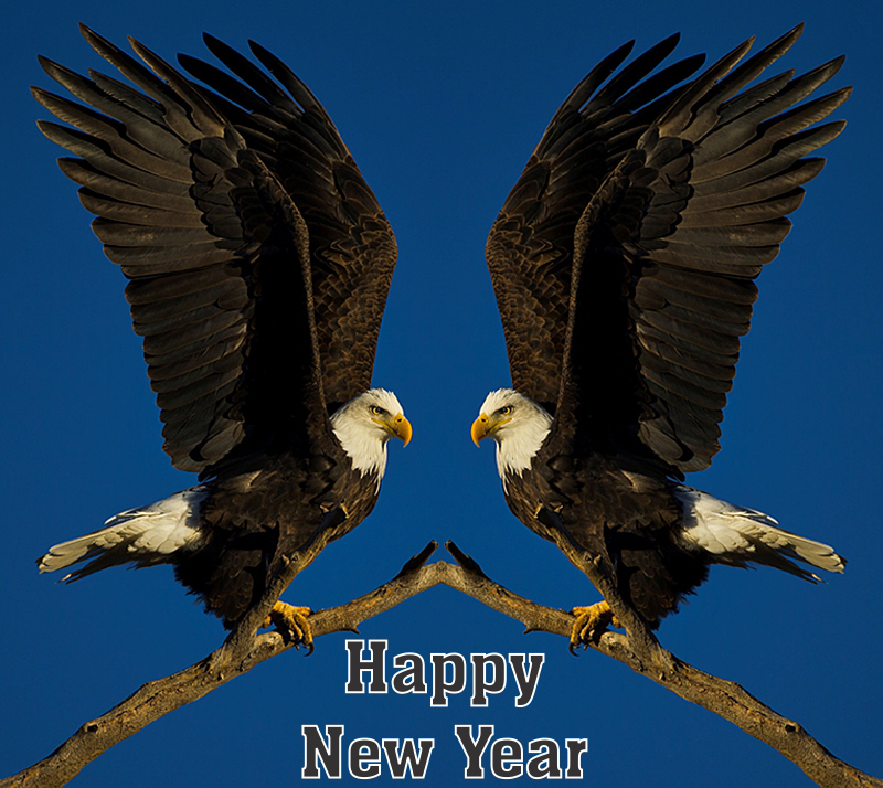 doubleeaglenewyear.jpg