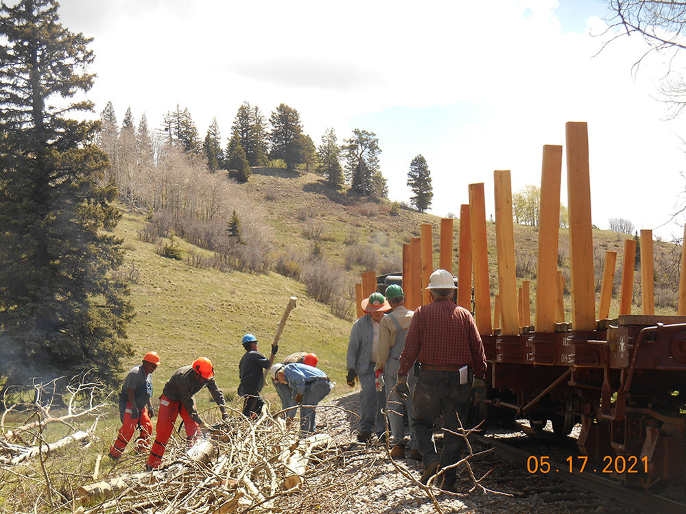 Brush Crew 4.jpg
