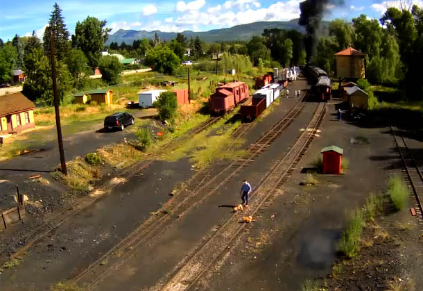 Some 4 legged train fans watch the departure of 216.jpg