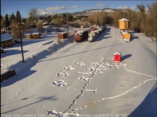 1.1.16 Snow angels in north yard (1 of 1).jpg