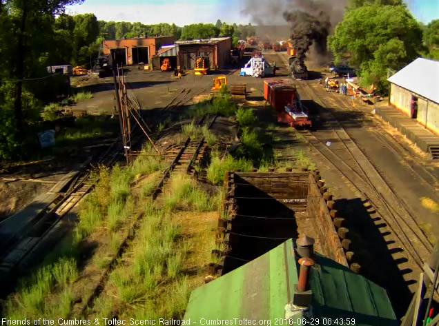 6.29.16 484 is smoking it up as it waits.jpg