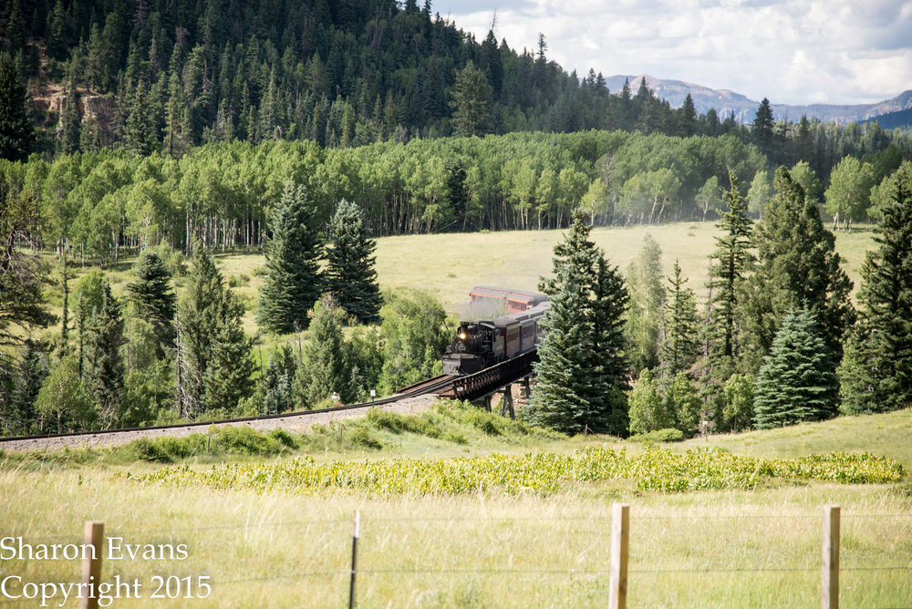 Train 215 comes over Lobato trestle.jpg