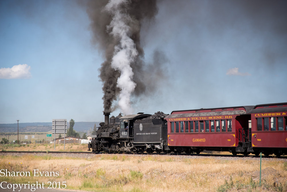 2 The 463 is gaining some speed as it moves away from the Antonito depot.jpg