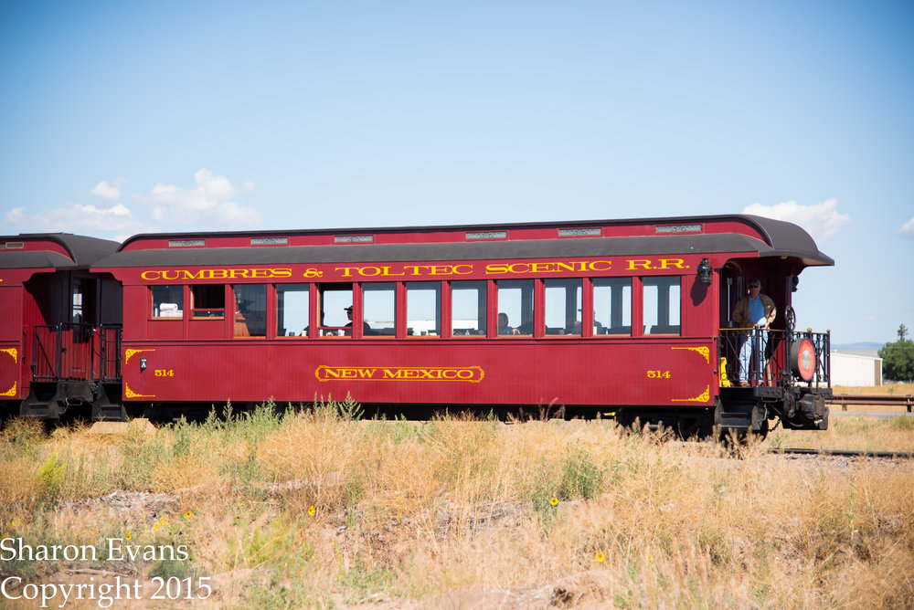 3 The parlor car New Mexico has very few riders this day.jpg