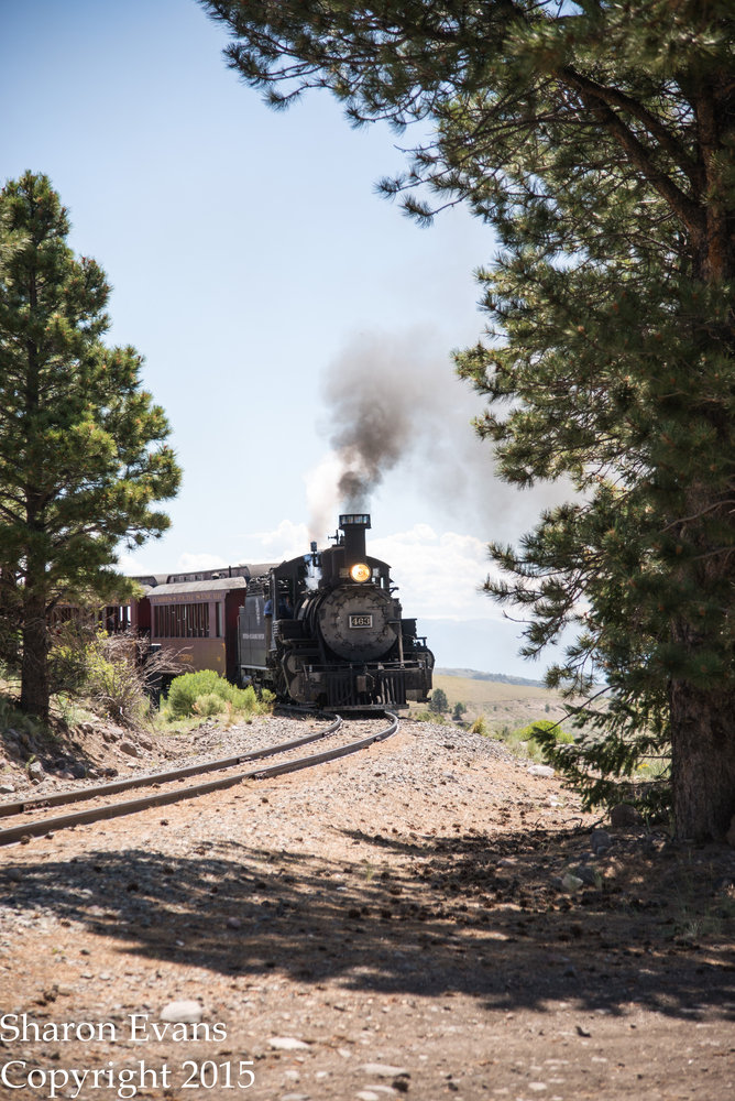 11 The 463 rounds a curve as it approches the crossing I was stationed to take these shots.jpg